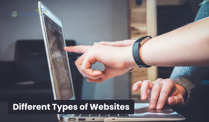 Different Types of Websites.webp